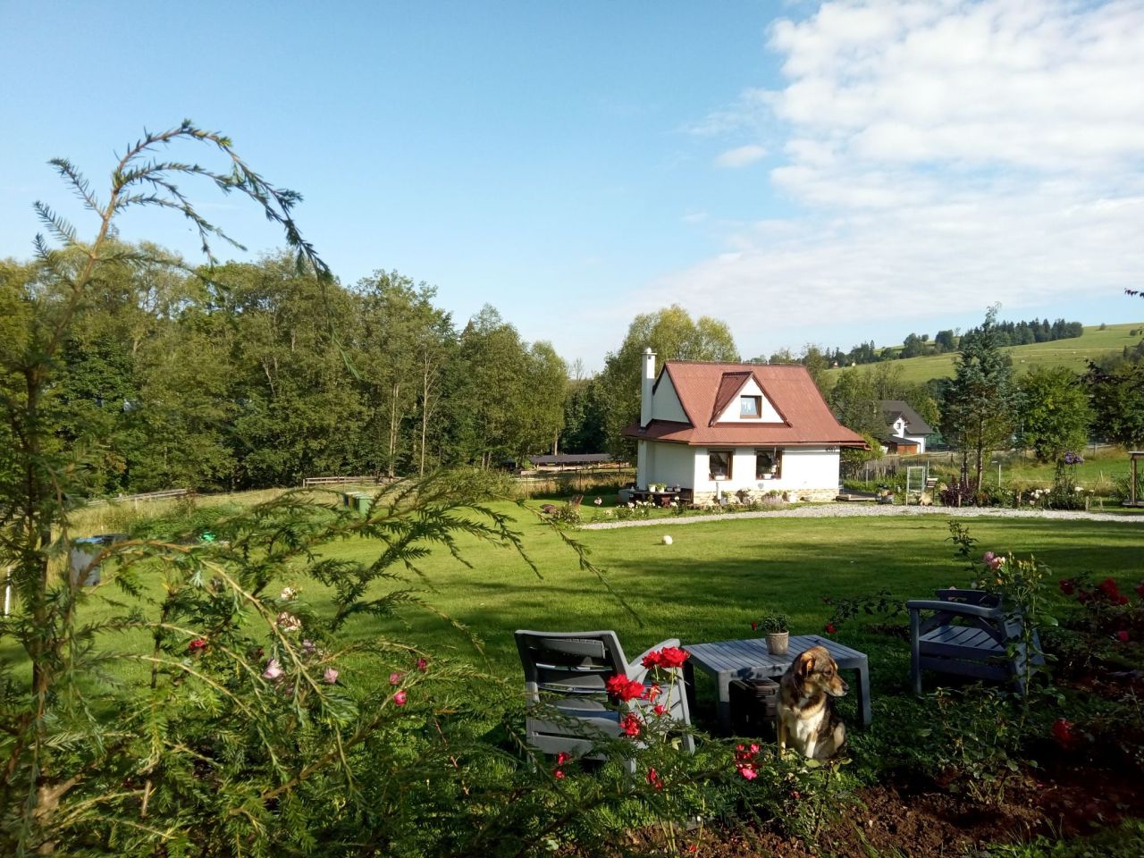 dom wolnostojący, 3 pokoje Ciche. Zdjęcie 1