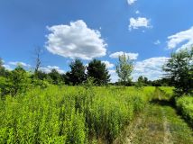 Działka rolna Wojcieszyn, ul. Trakt Królewski. Zdjęcie 4