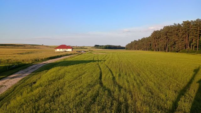 Działka rolno-budowlana Pruska Łąka. Zdjęcie 1