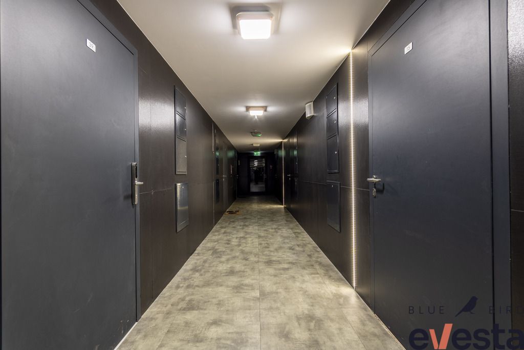 Mieszkanie 2-pokojowe Wrocław Zgorzelisko, ul. Bierutowska. Zdjęcie 10