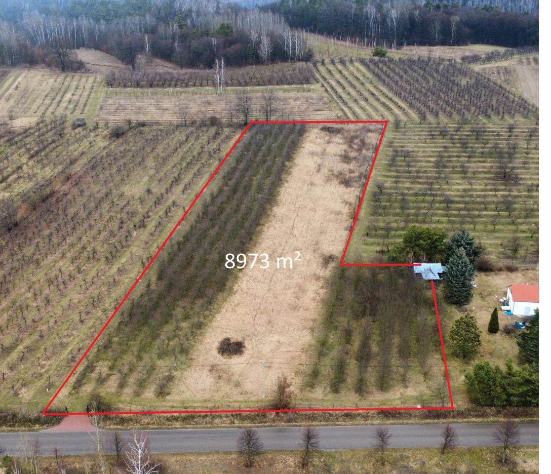 Działka rolno-budowlana Kazimierz Dolny Jeziorszczyzna. Zdjęcie 3