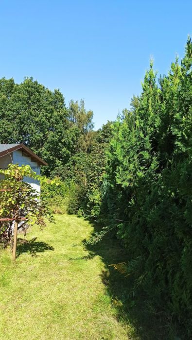 Działka rod Straszyn, ul. inż. A. Hoffmanna. Zdjęcie 13