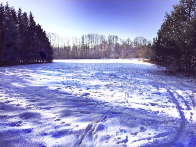 Działka siedliskowa Skuły, ul. Ekologiczna. Zdjęcie 5