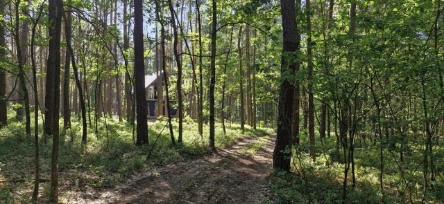 Działka rekreacyjna Wilkowyja. Zdjęcie 5