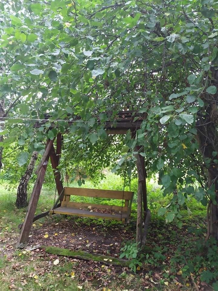 siedlisko, 2 pokoje Raciborowice-Kolonia. Zdjęcie 9