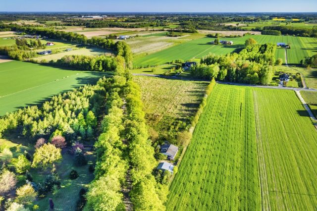 Działka budowlana Pasikonie. Zdjęcie 7