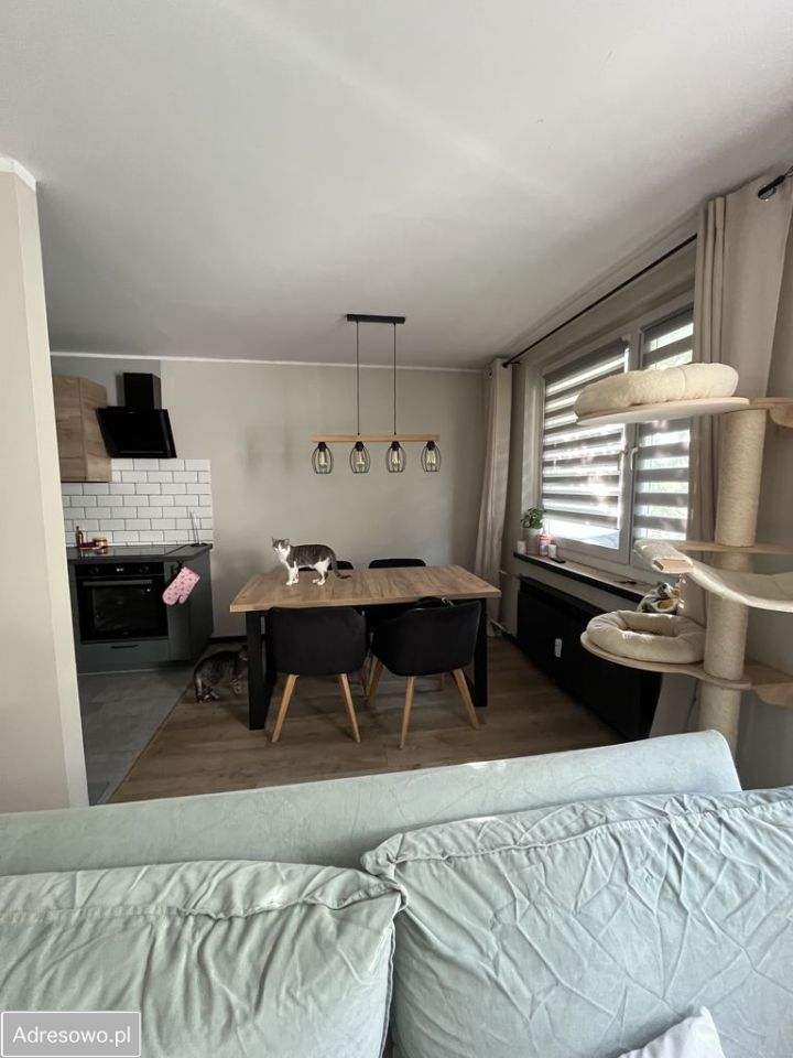 Mieszkanie 3-pokojowe Ruda Śląska Halemba, ul. Kosynierów. Zdjęcie 2