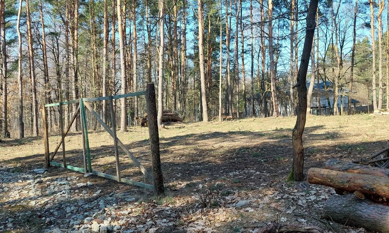 Działka leśna Warszawa Radość, ul. Podmokła