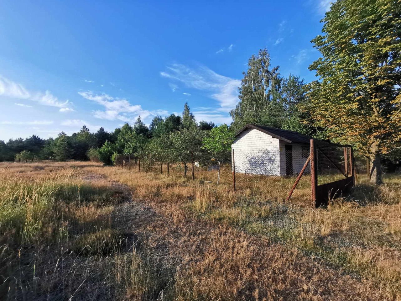 Działka siedliskowa Wymysłów Francuski. Zdjęcie 6