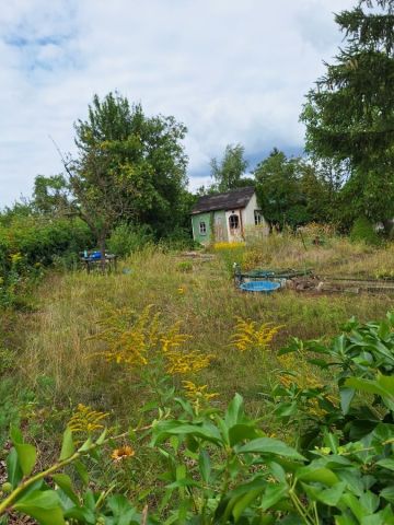 Działka rod Szczecin Pogodno, ul. Mieczysława Karłowicza. Zdjęcie 1