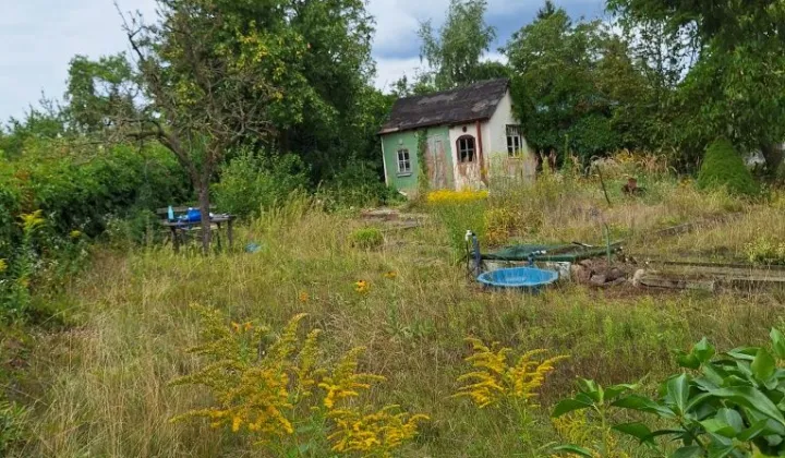 Działka rod Szczecin Pogodno, ul. Mieczysława Karłowicza