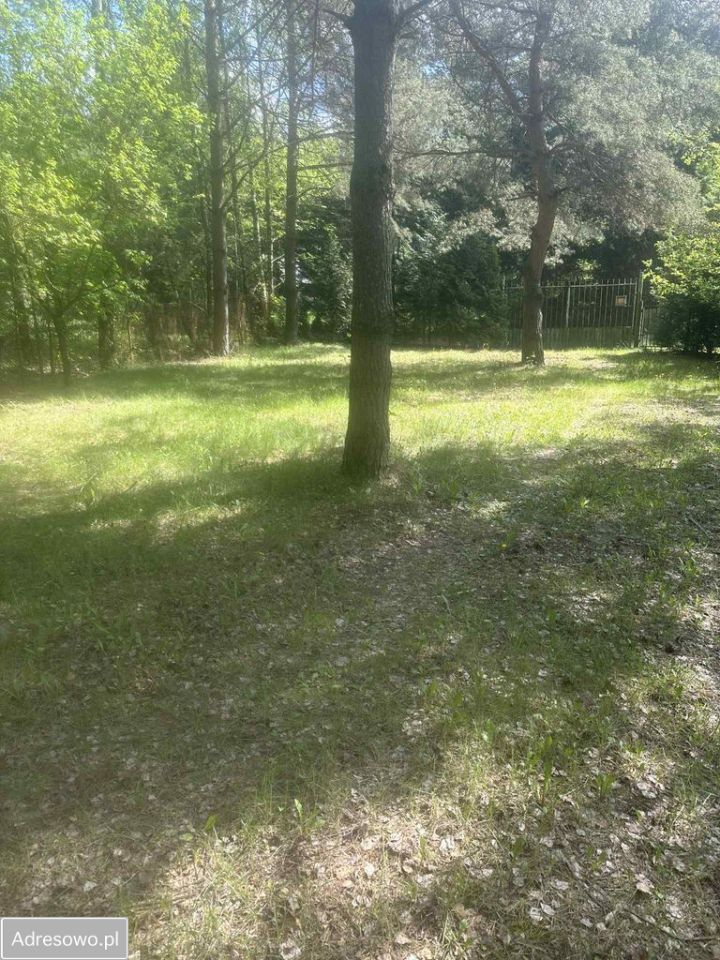 Działka budowlana Sierżnia. Zdjęcie 3