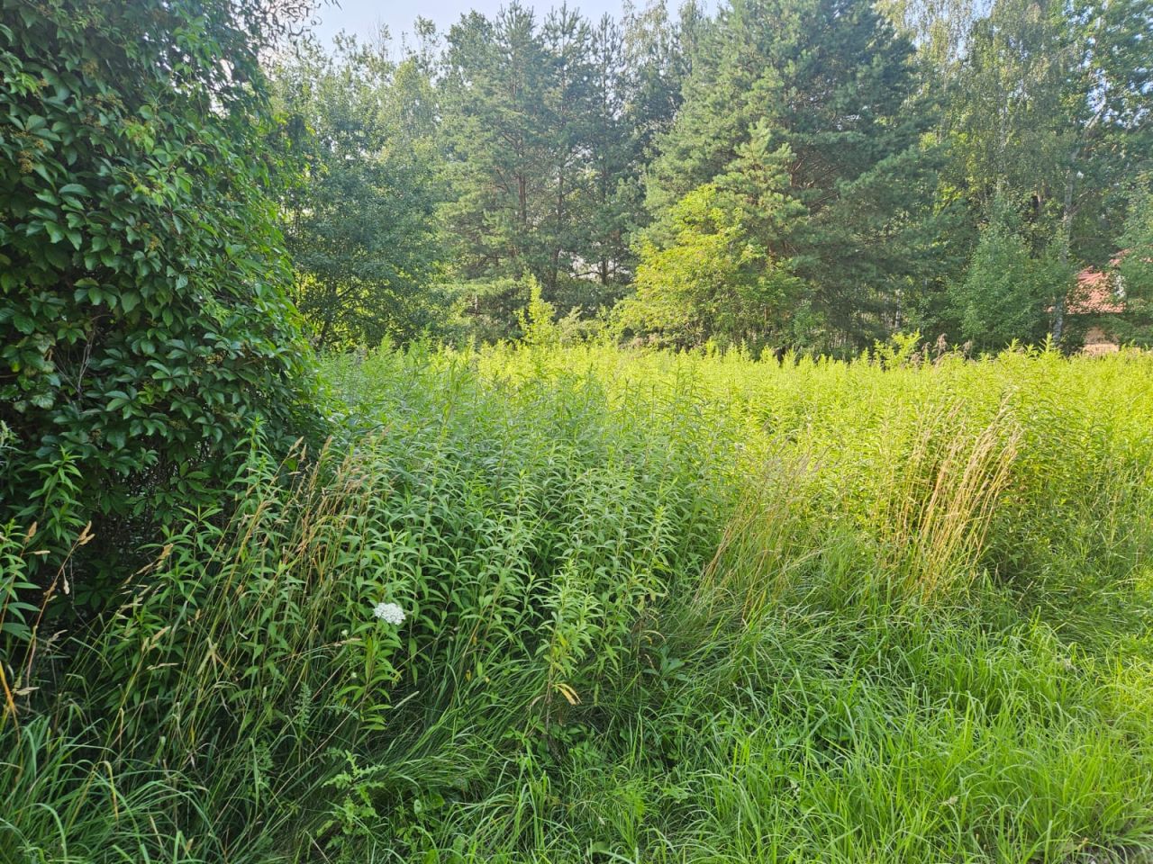 Działka budowlana Prace Duże, ul. Miła. Zdjęcie 2