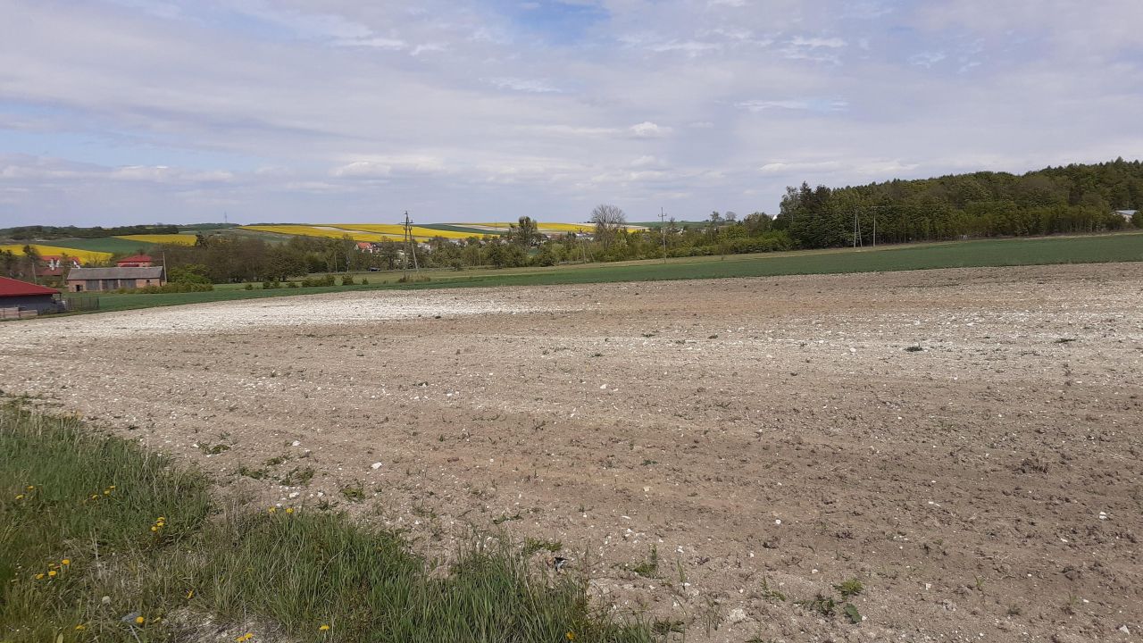 Działka budowlana Tarnawatka, ul. Szkolna. Zdjęcie 3