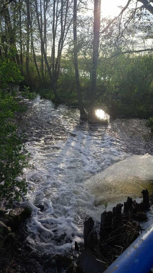 bliźniak Wyrza. Zdjęcie 4