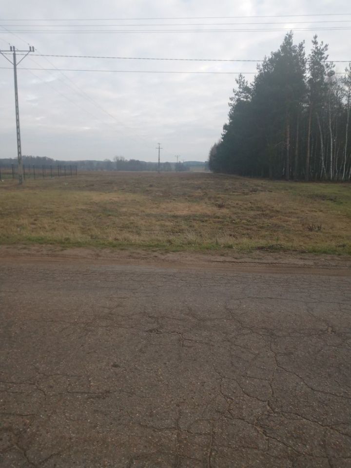 Działka rekreacyjna Nowe Miasto. Zdjęcie 4