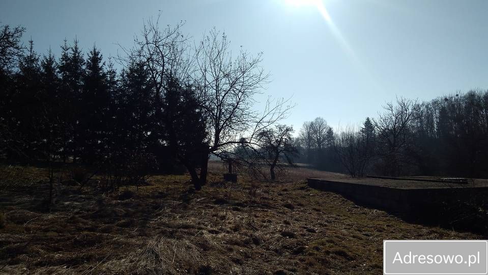 gospodarstwo Turza. Zdjęcie 5