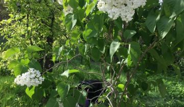 Działka rod Warszawa Wawer