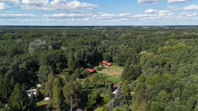 Działka rekreacyjna Skrzeszew, ul. Wczasowa. Zdjęcie 9