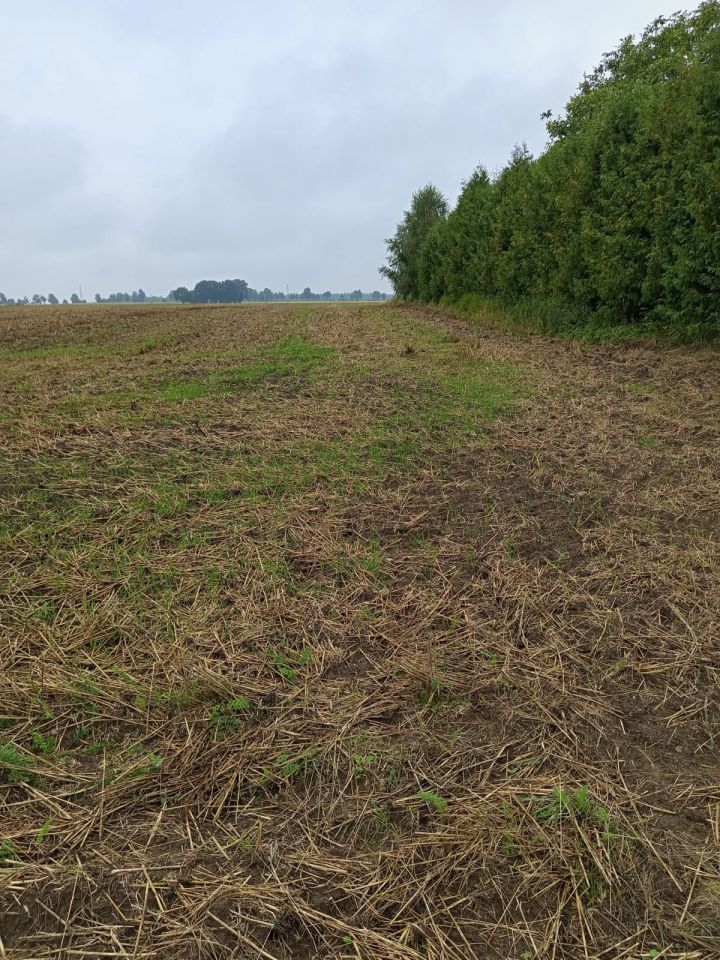 Działka rolno-budowlana Policko. Zdjęcie 5