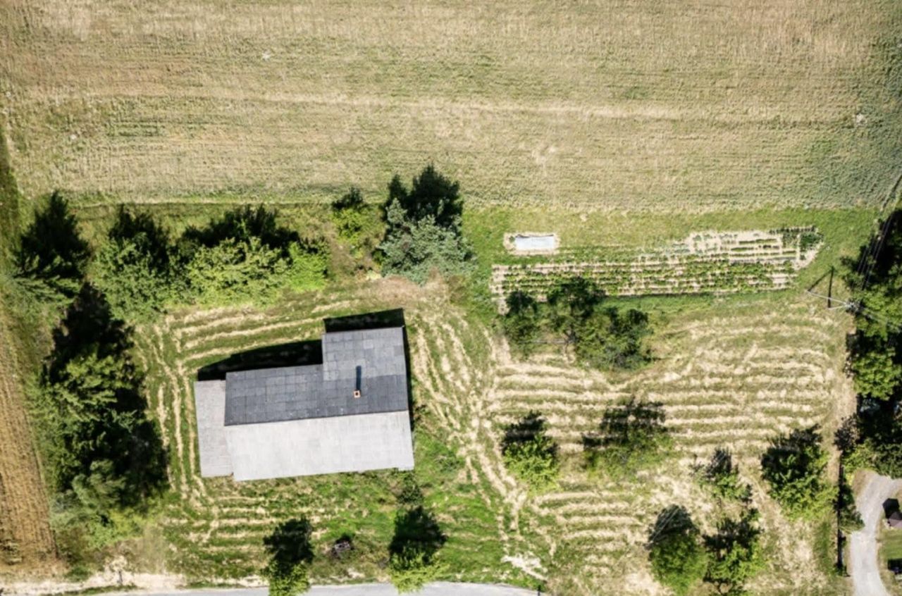 Działka rolno-budowlana Braciejowa. Zdjęcie 2