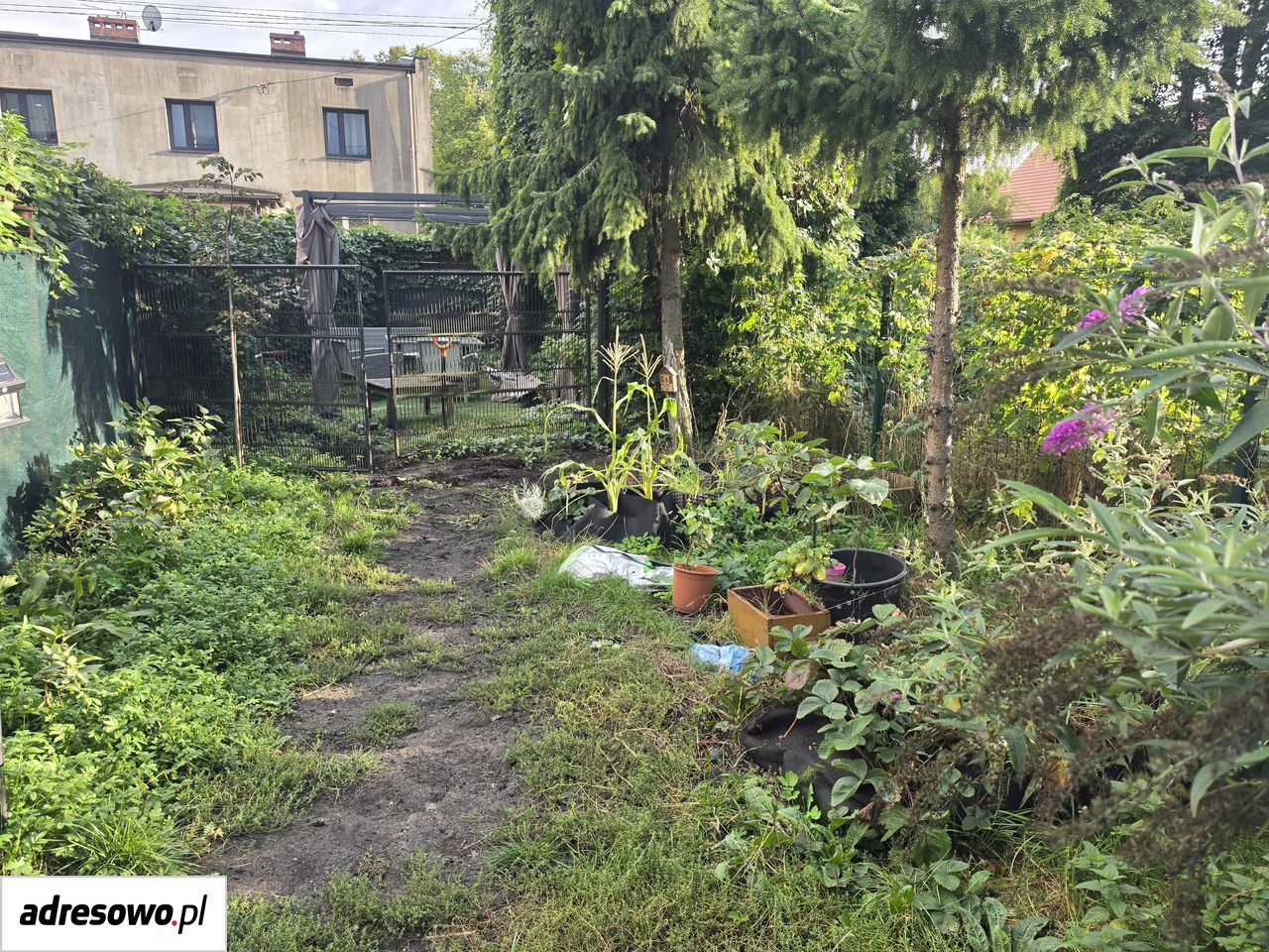 dom wolnostojący, 7 pokoi Katowice, ul. Karola Szymanowskiego. Zdjęcie 7