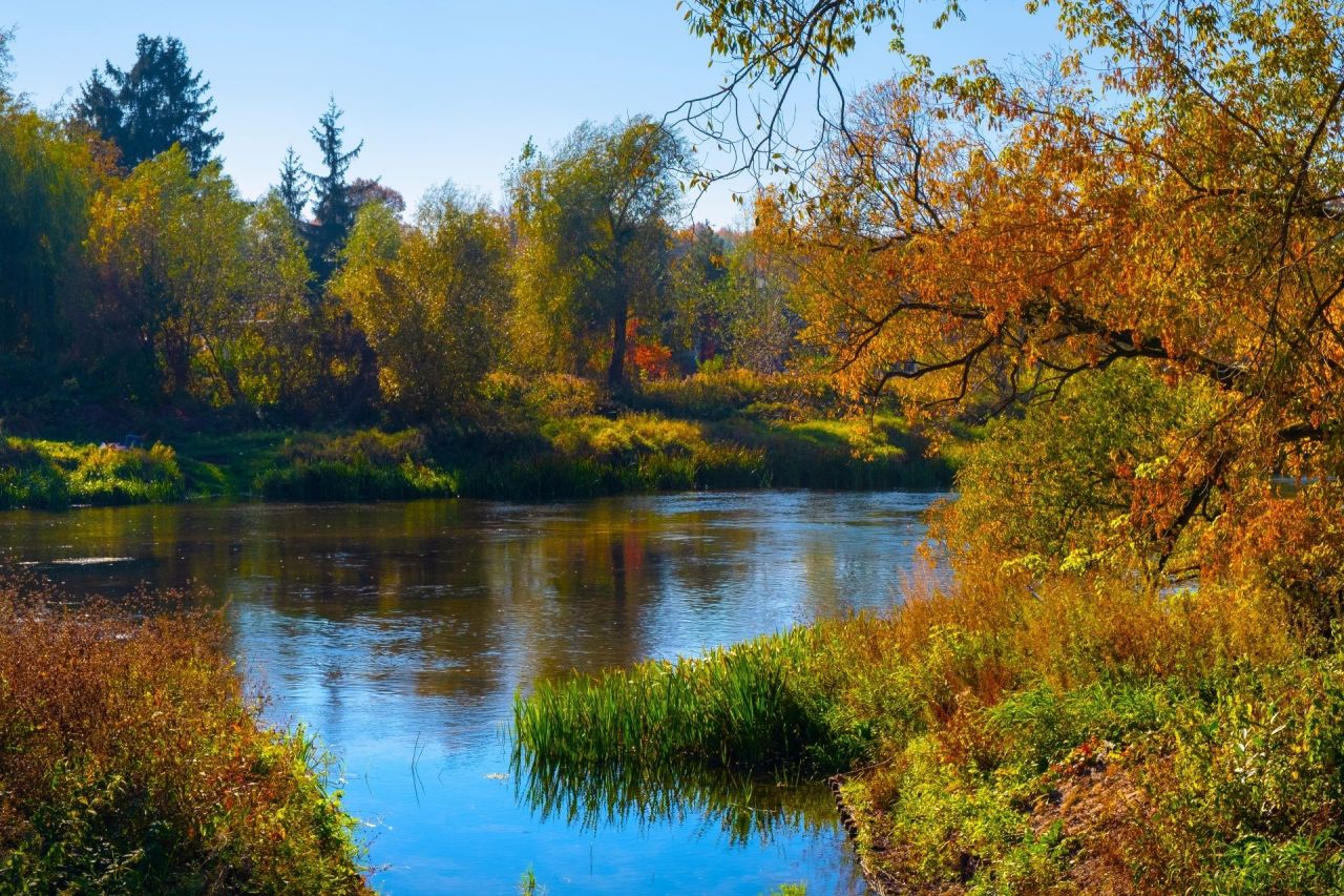 Działka budowlana Bolimów. Zdjęcie 6
