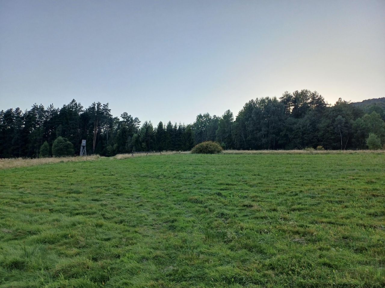 Działka rekreacyjna Więciórka. Zdjęcie 5