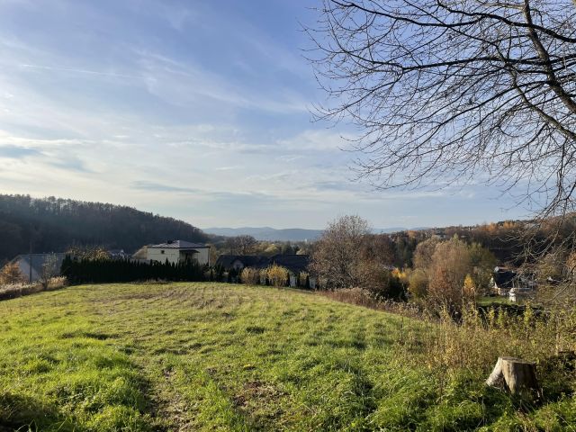 dom wolnostojący Piątkowa, Lwowska. Zdjęcie 4