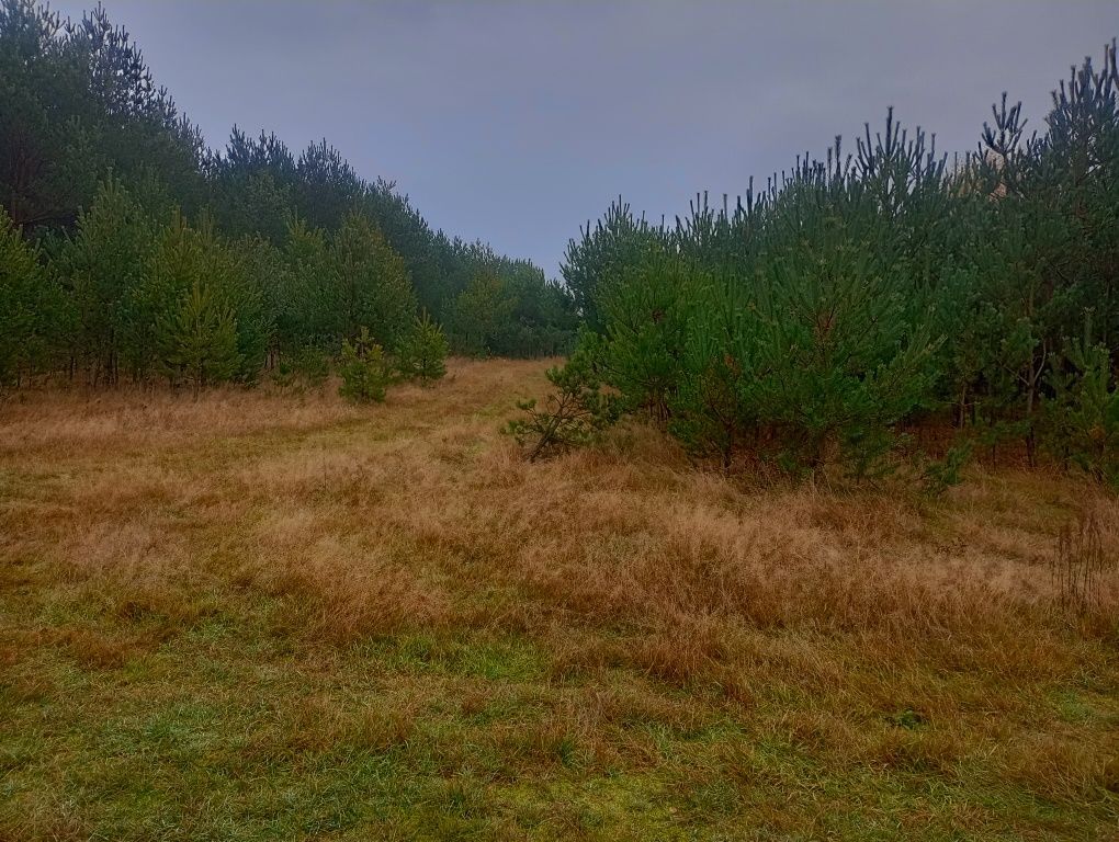 Działka rolna Mstów. Zdjęcie 8