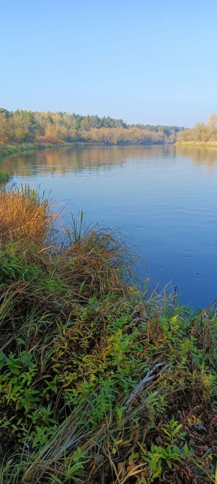 Działka rekreacyjna Zambski Kościelne. Zdjęcie 4