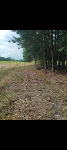 Działka rolno-budowlana Darowne. Zdjęcie 1