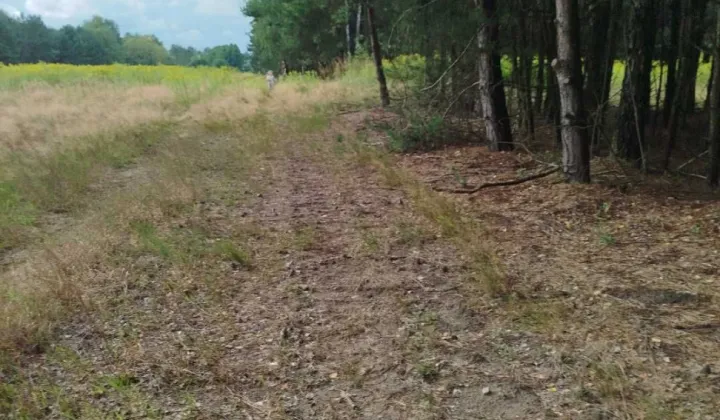 Działka rolno-budowlana Darowne