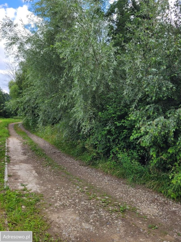Działka budowlana Siekierczyna. Zdjęcie 9