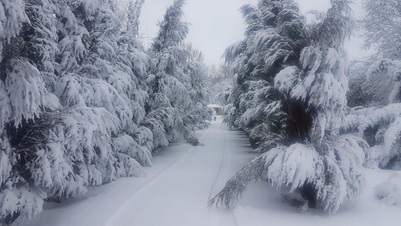 Działka budowlana Łódź Ruda Pabianicka, ul. Rafowa. Zdjęcie 4