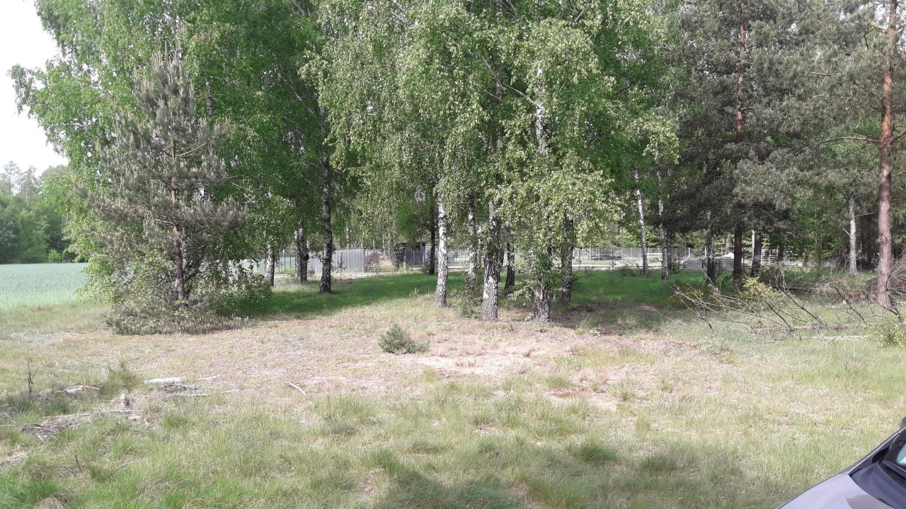 Działka budowlana Józefów, ul. Słoneczna. Zdjęcie 3