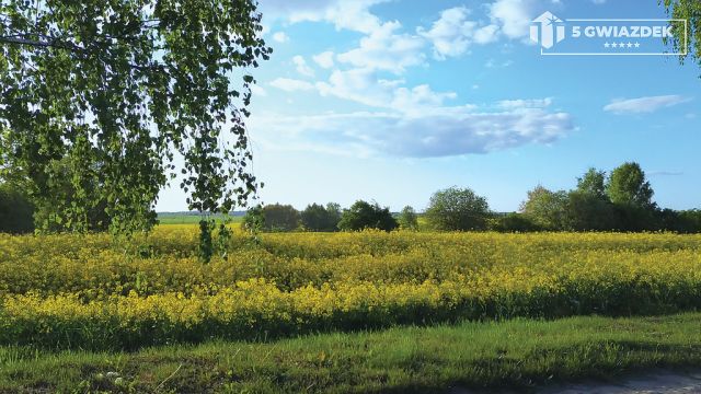 Działka budowlana Dziki. Zdjęcie 21