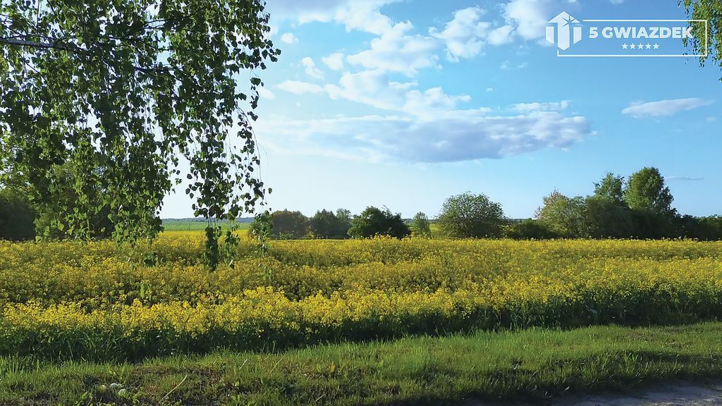 Działka budowlana Dziki. Zdjęcie 21