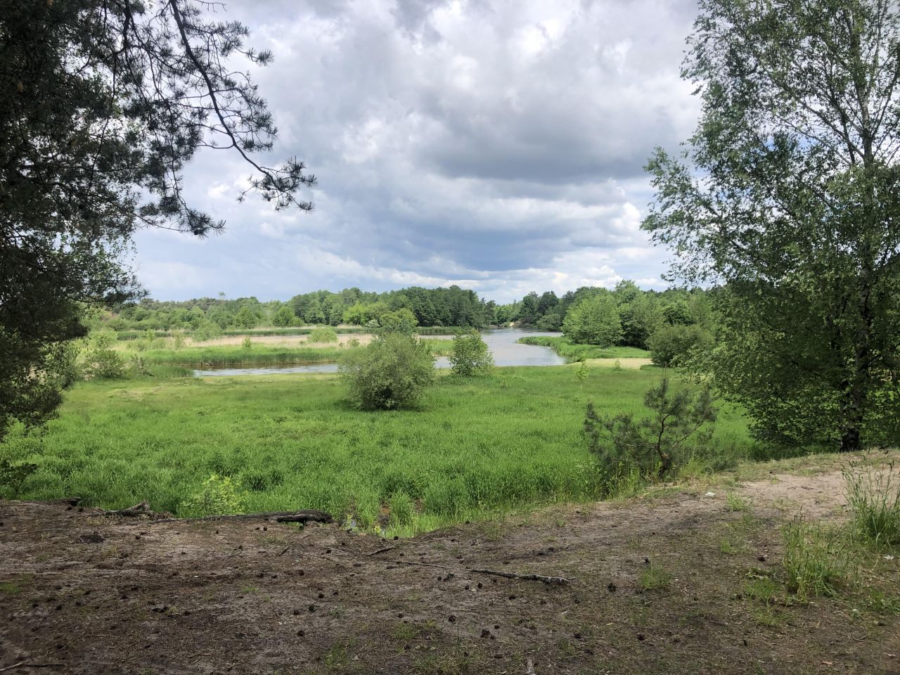 Działka rekreacyjna Biała Góra. Zdjęcie 11