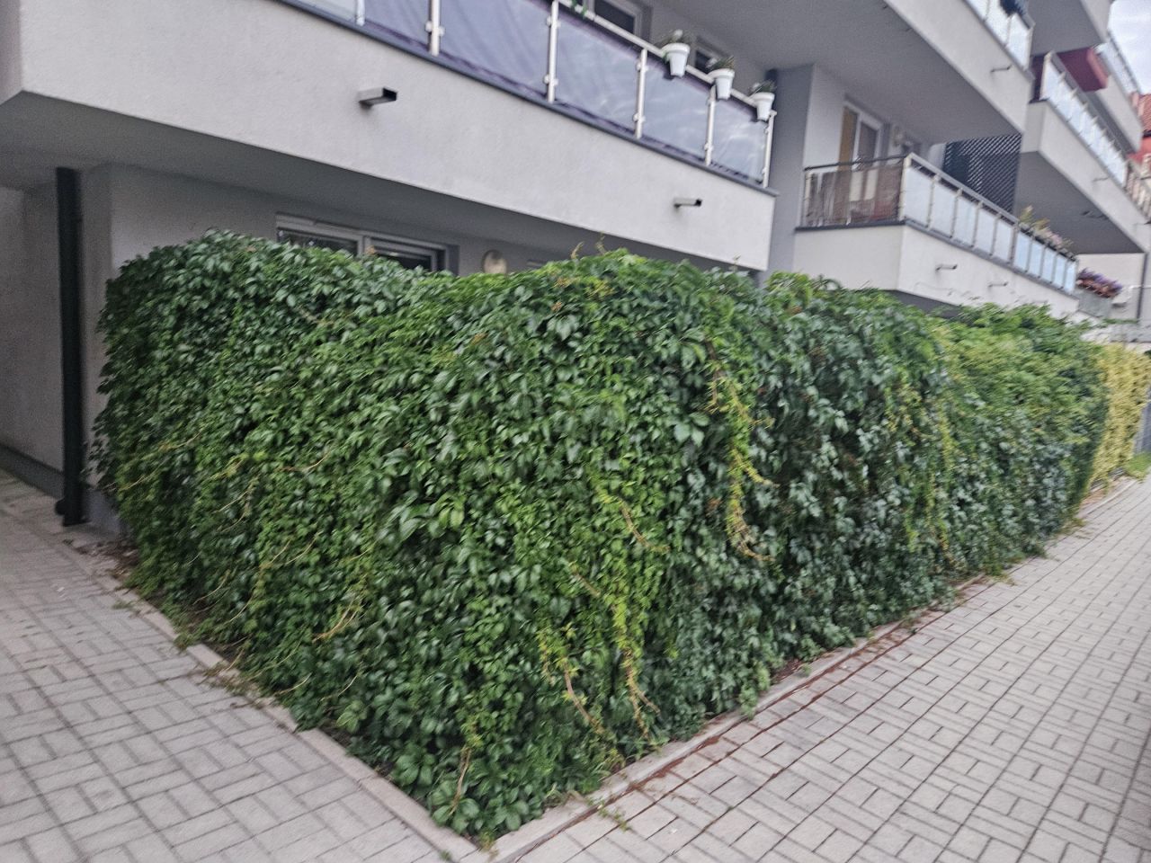 Mieszkanie 2-pokojowe Kraków Opatkowice, ul. Macieja Dębskiego. Zdjęcie 9