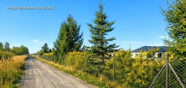Działka budowlana Stary Borek, Spacerowa. Zdjęcie 3