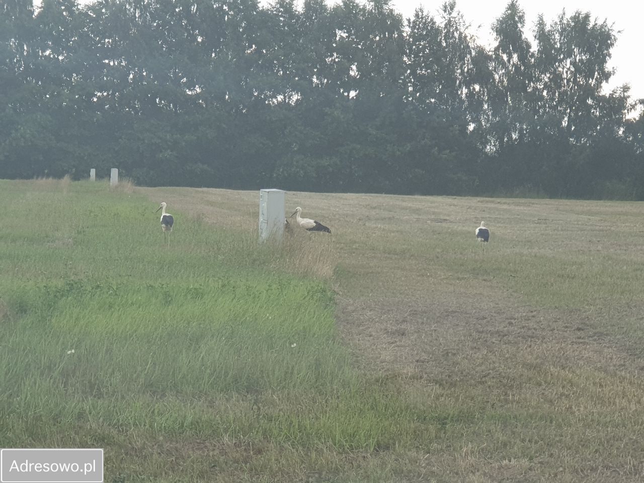 Działka budowlana Drewnica. Zdjęcie 1