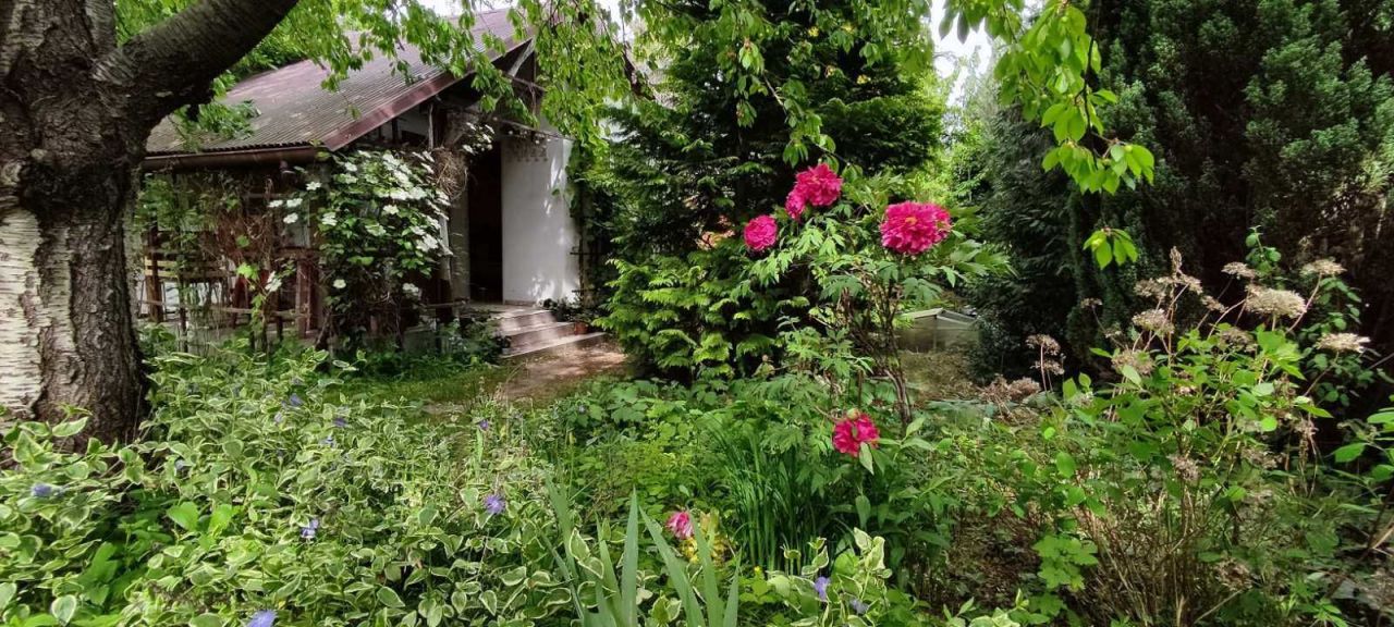 Działka rod Poznań Naramowice, ul. Miętowa. Zdjęcie 6