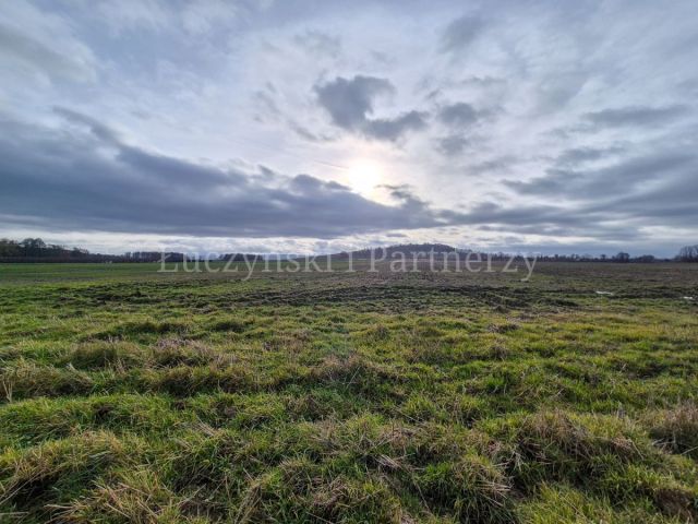 Działka rolna Krzewie Wielkie. Zdjęcie 7