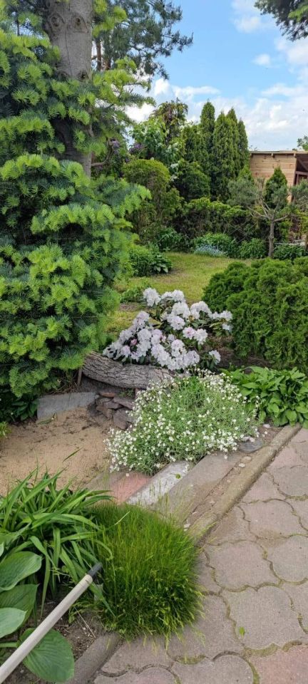 Działka rekreacyjna Toruń Rudak, ul. Rudacka. Zdjęcie 6