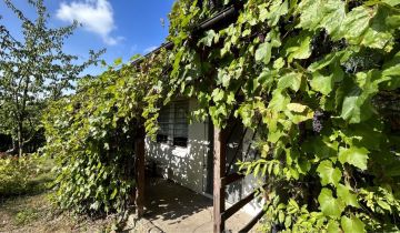 Działka rod Szczecin Krzekowo, ul. Modra