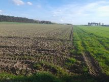 Działka inwestycyjna Krzemieniewo. Zdjęcie 3