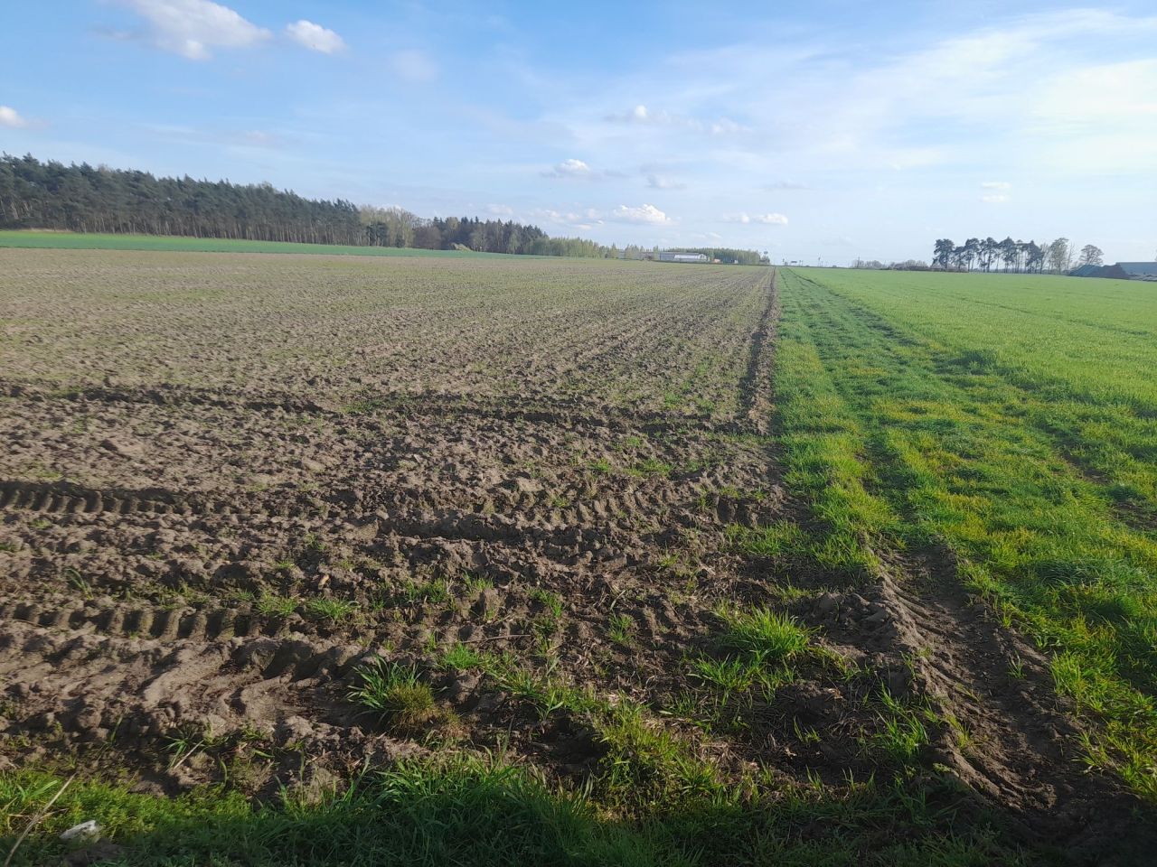 Działka inwestycyjna Krzemieniewo. Zdjęcie 4