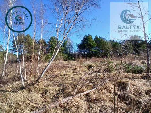 Działka budowlana Gowino. Zdjęcie 12
