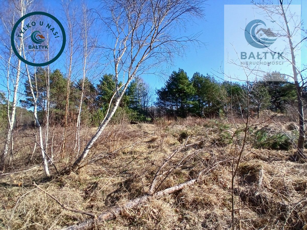 Działka budowlana Gowino. Zdjęcie 12